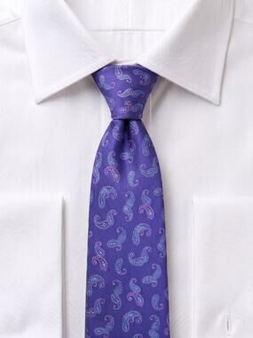 Ted Baker London Blue 100% Silk Necktie